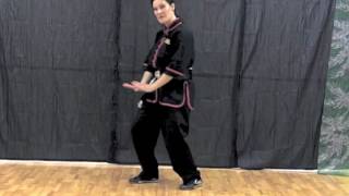 Tai Chi How To Do Twine Step Properly - from www.InternalGardens.com tai chi