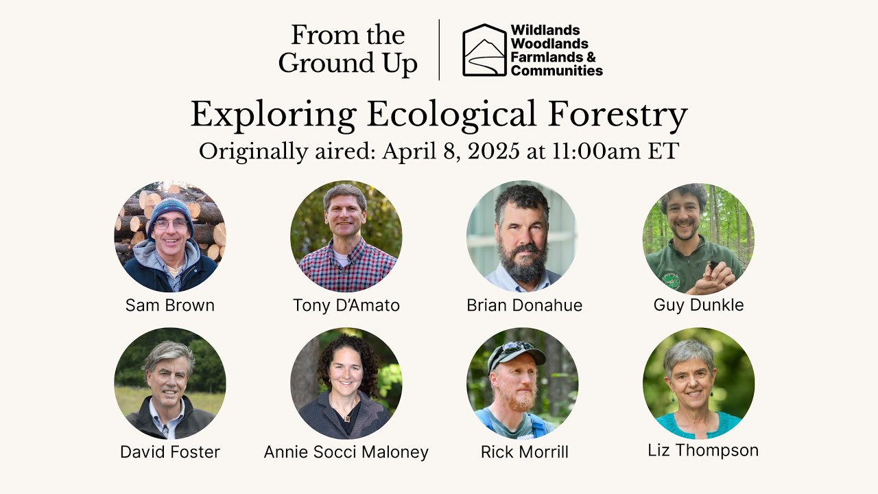 Issue #6 Ecological Forestry Event — From the Ground Up
