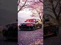 BMW EDIT