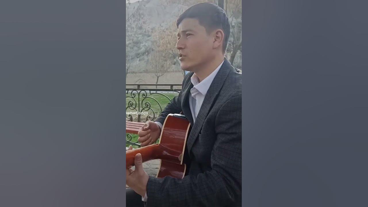 Дадам бор