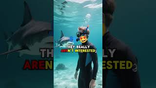 5 Facts about Sharks.#DangerousAnimals#Top5Facts#DidYouKnow#ViralShorts#ExploreOcean