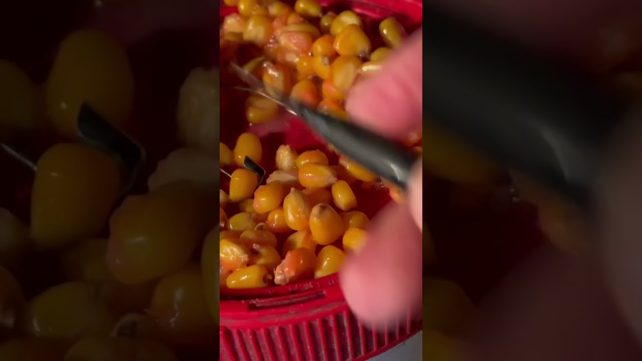 Custom Flarping Baiting Needle