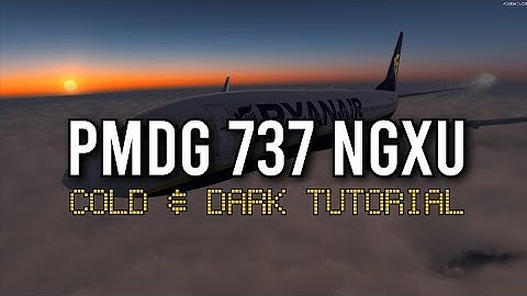 PMDG 737 Ngxu Cold & Dark Tutorial