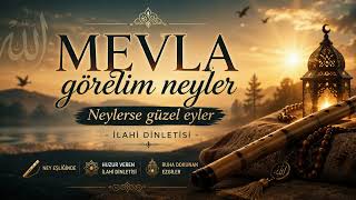 Mevla Görelim Neyler, Neylerse Güzel Eyler