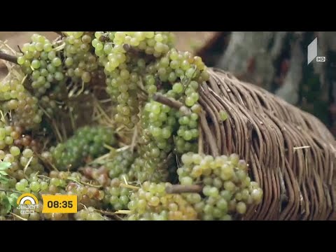 #ბიზნესპარტნიორი ბიზნესთან შეთანხმების გარეშე, შრომის კოდექსში ცვლილებები არ შევა