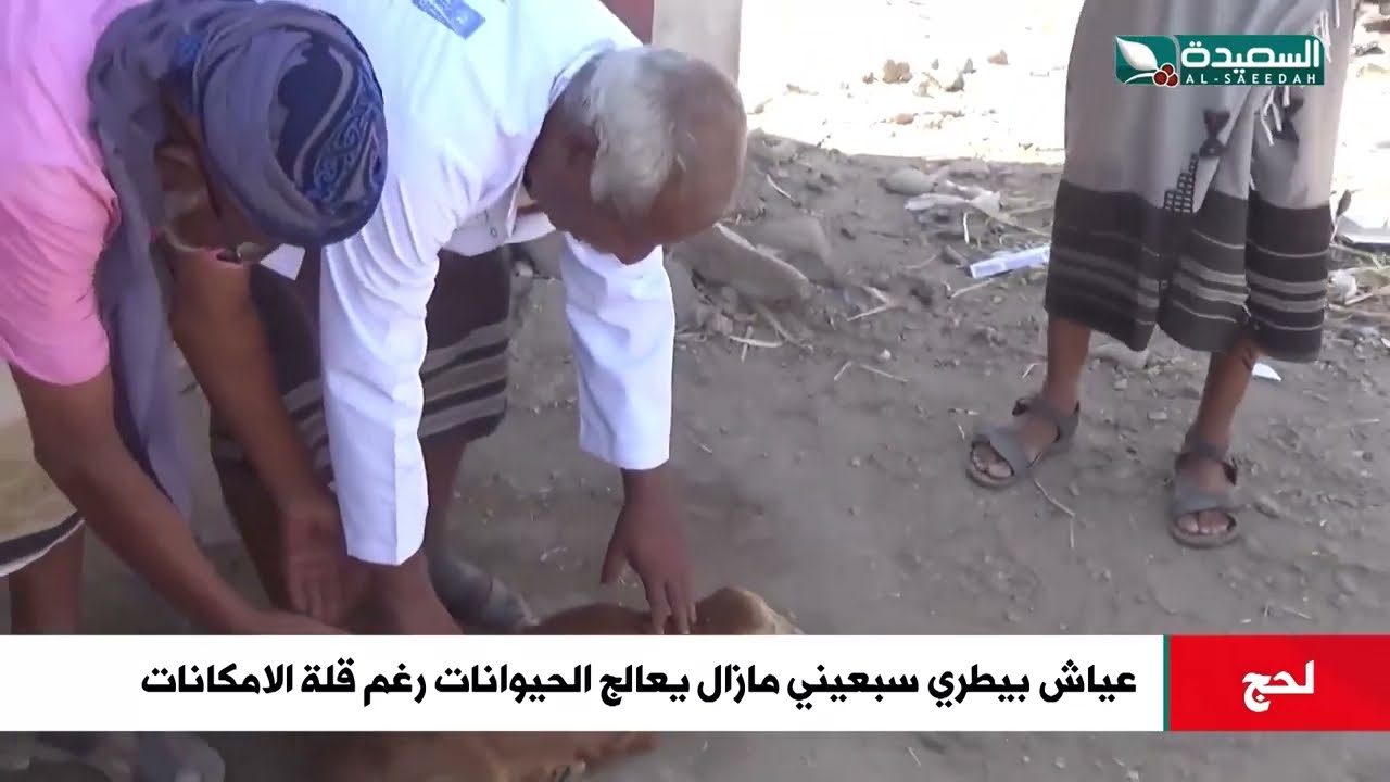 عياش بيطري سبعيني مازال يعالج الحيوانات في لحج رغم قلة الامكانات