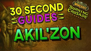Akilzon - Zul'Aman - 30 Second Guides