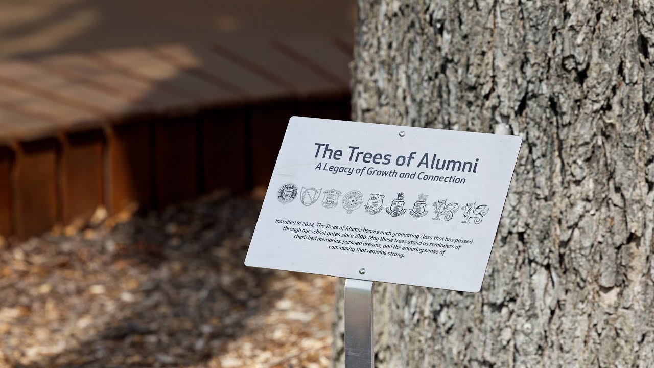 Trees of Alumni Celebration - YouTube