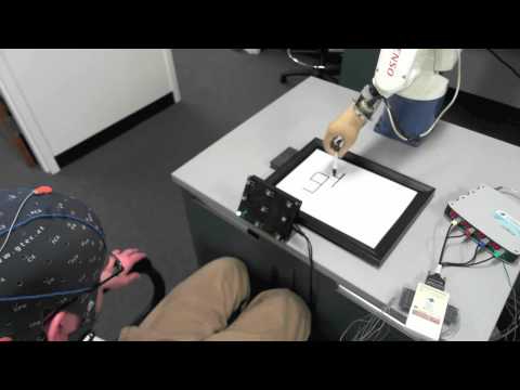 SSVEP Control of a Robotic Arm