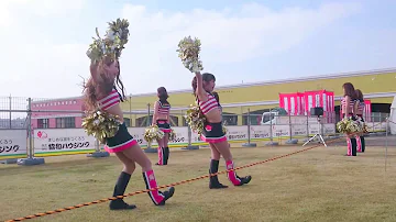 新里宏太hands Up Mp3