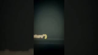 When Coding Breaks You... But You Don't Quit 💔💻 #Shorts