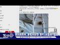 聞到燒焦味...筆電突自燃! 原PO:床墊燒1個洞｜TVBS新聞 @TVBSNEWS01
