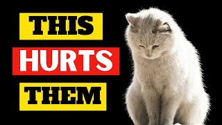 These Everyday Things EMOTIONALLY HURT Your Cat (Be Careful)