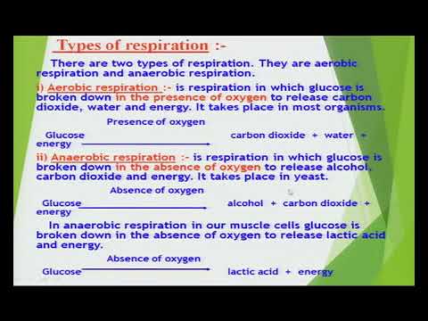Bio class 11 unit 13 chapter 03   -photosynthesis and respiration-respiration Lecture 3/5
