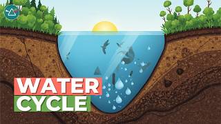 What is the Water Cycle? Scholastic Study Jams Water Cycle