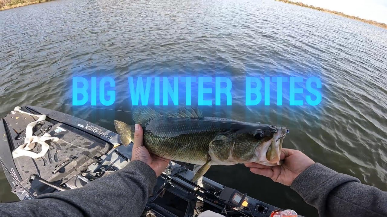 BIG SCHOOLS AND BIG BASS. 1st DAY OF WINTER FISHING WAS AMAZING. MUST HAVE BAIT THIS TIME OF YEAR.