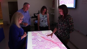 Sectra Visualization Table at the College of Health Professions