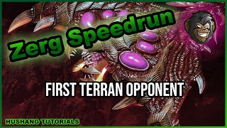 Starcraft 2 Zerg Speedrun - Episode 2 [2022]