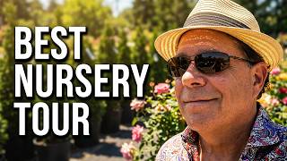 Take a tour to a nursery, Arborvitaes, Spruce Trees, Crabapple Trees and David Austin Roses 🌳🌲🌸