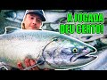 Essa virada mudou tudo! Pescaria épica de salmão no Rio Columbia