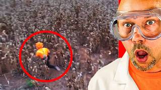 The Craziest Photos That Can Scare Anyone