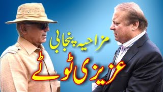 Nawaz Sharif And Shehbaz Sharif All Funny Totay - Punjabi Dubbing Compilation - Azizi Totay