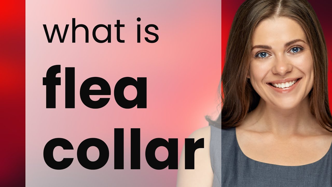 Understanding "Flea Collar" in English YouTube