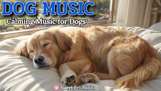 20 Hours of Calming Dog Music🦮💖Deep Sleep & Professional