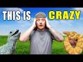 Are my Reptiles OK?