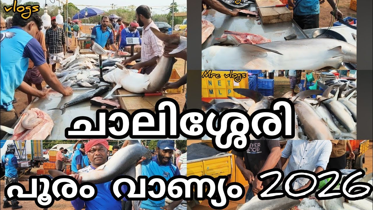 ചാലിശ്ശേരി മുലയം പറമ്പ് വാണിയം നിങ്ങൾ ഇതുവരെ കാണാത്ത മീൻ കച്ചവടം കണ്ടാൽ ഞെട്ടിപ്പോകും..