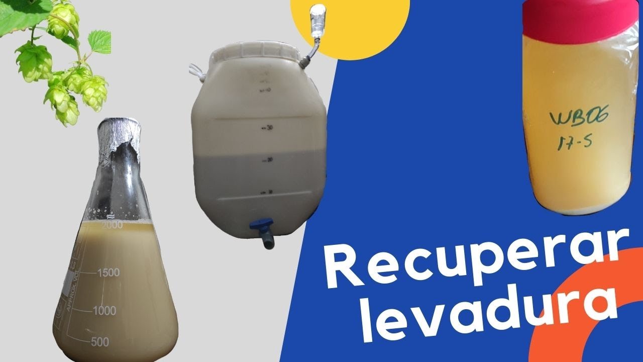 Recuperación de levadura con fermentador tipo cuñete.