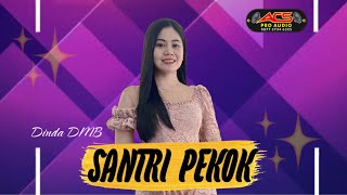 SANTRI PEKOK - Dinda DMB - ACS Pro Audio