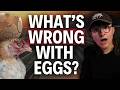 What's Wrong With Eggs?