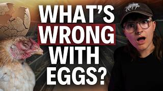 What's Wrong With Eggs?