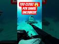 POV: This is what happens when a shark gets too curious! #Shorts #Shark #Ocean