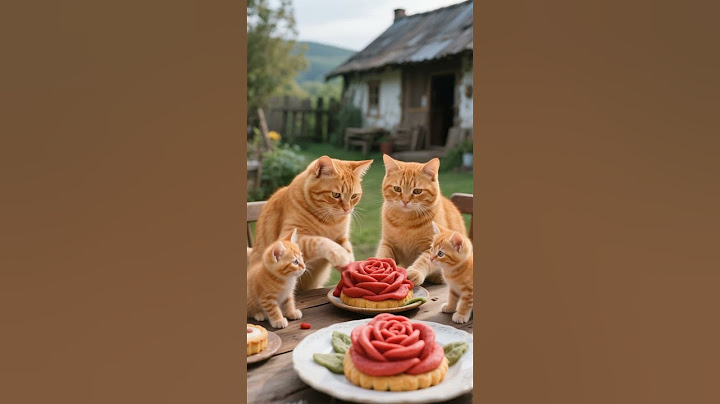 Healing Cat Family 🌿 Making Flower Pastries in the Countryside | Cute Kitten's Soothing Daily Life 🐾