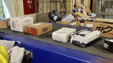 Top Picks: The Best Forex Robots Of 2025 Reviewed