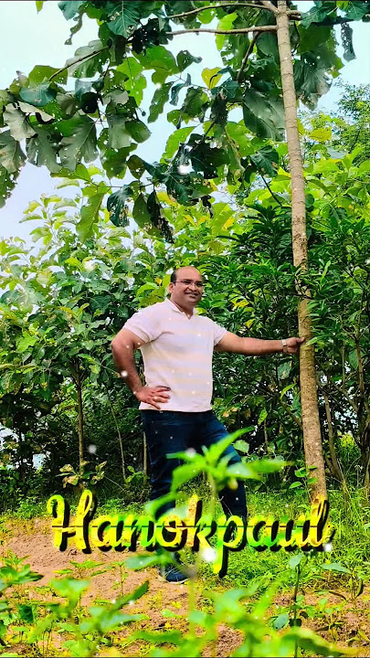 #jesusworshipsongs7live ☺️ #jesusworshipsongs7live  #hanokpaul #shorts #trending #GSJSM 🎞️🎞️#capcut