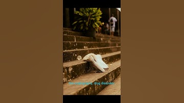 Unlocking the NEXT Wave of Technology: The Power and Potential of Quantum Computing Explained!