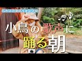 【海キャンプ】朝からノリノリなLeolaさんはこちらです【LaLa_Camp】