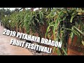 2019 Pitahaya Dragon Fruit Festival