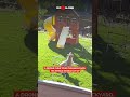 Funny Dog Chases Drone in Backyard Adventure | WooGlobe