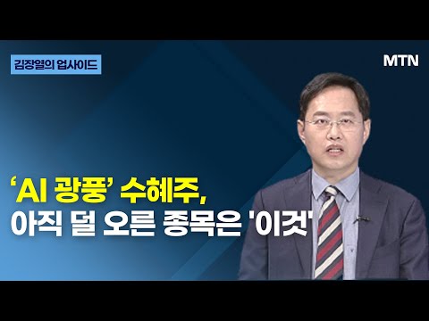 [김장열의 업사이드] ‘AI 광풍’ 수혜주, 아직 덜 오른 종목은 &amp;#39;이것&amp;#39; / 머니투데이방송 (증시, 증권)