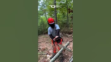 I have never Heard an Echo Thunderclap in the Woods Ported CS 620PW @Super-Dave-Outdoors #shorts