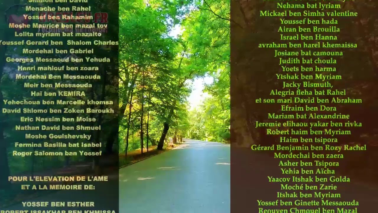 Les Contes de Rabbi Nahman: "La Princesse disparue" cours n°37 (20/07/20)