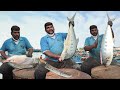 Big Two Queen One Trevally Fish Cutting  Skills | Kasimedu Fish Market | CT360*