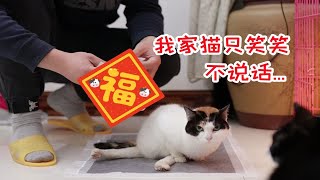 打算买一宠物用品给我家猫没猜到这车竟让我翻得如此彻底