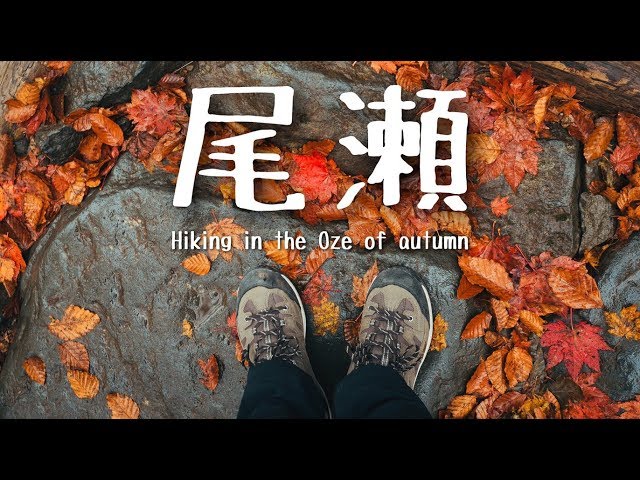 ハイキング