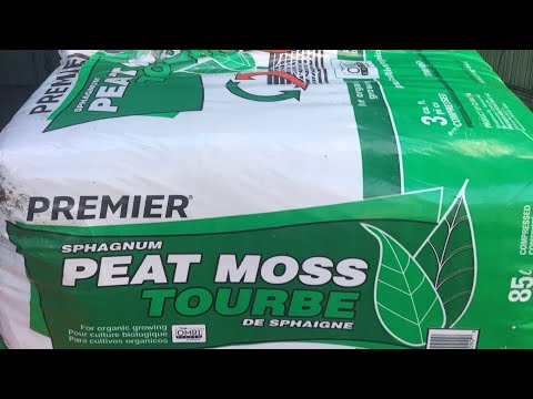 Beware the danger of using peat moss in your Garden containers and beds , Watch this video first