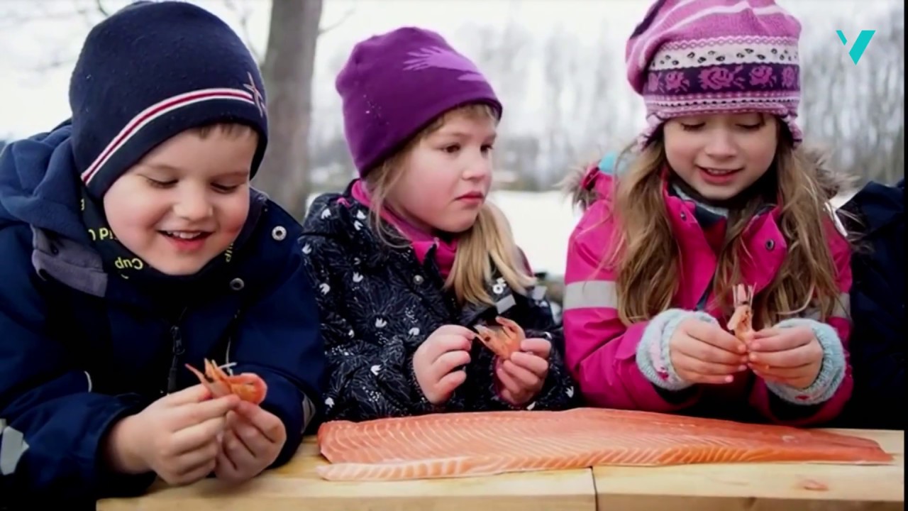 Mataktivitet og medvirkning